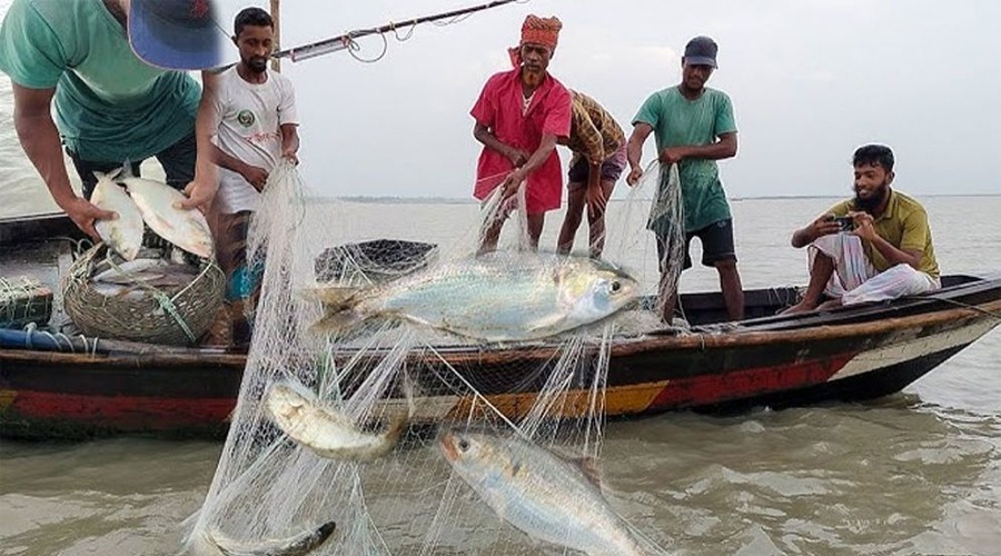 মধ্যরাত থেকে ইলিশ ধরায় ২২ দিনের নিষেধাজ্ঞা শুরু