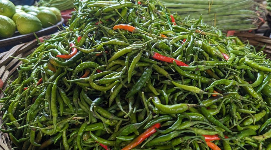 অজুহাতে সবজির দাম চড়া, কাঁচামরিচ যেন লাগামছাড়া