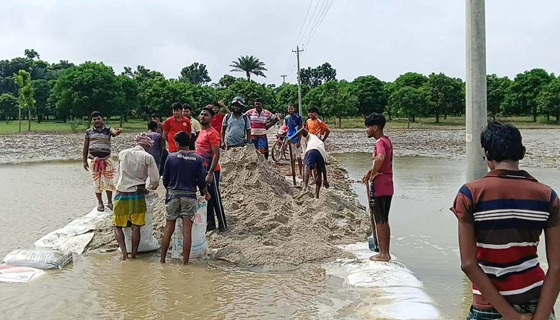 বাঘায় পদ্মার চরে ছাত্র নেতার রাস্তা সংস্কার
