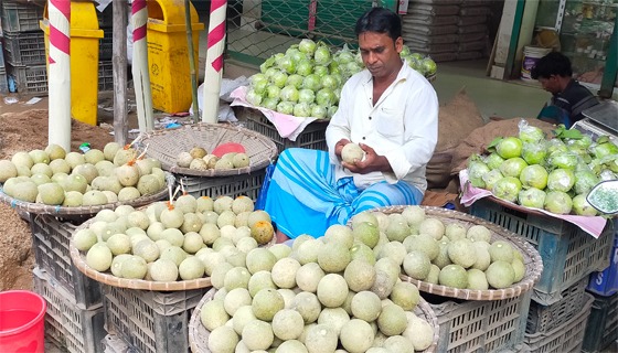রাস্তার ধারের টক-ঝাল-মিষ্টি স্বাদের কতবেল