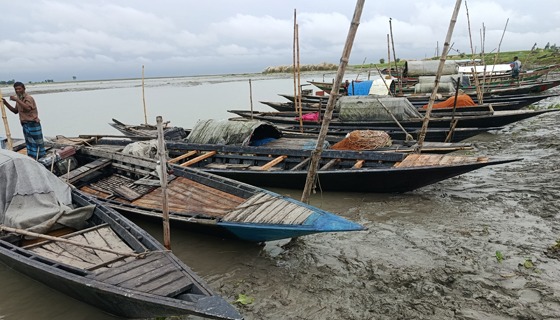 সারিয়াকান্দিতে ইলিশ ধরার নিষেধাজ্ঞায় জেলে পরিবারের দুর্দিন