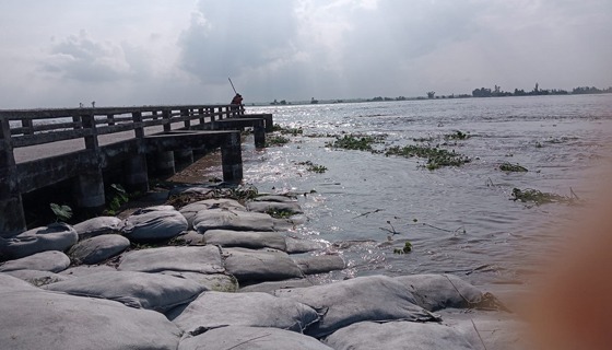 রাজারহাটে তিস্তা নদীতে পানি বেড়ে নিম্নাঞ্চলপ্লাবিত