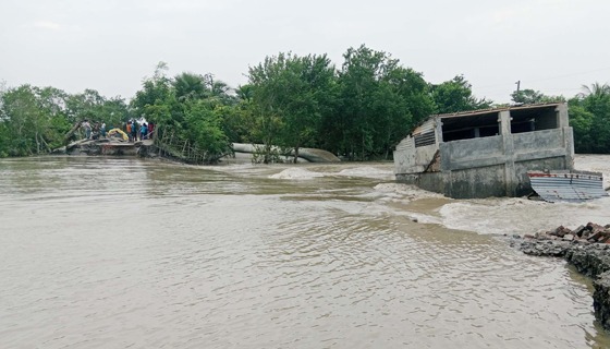 দাকোপে বেড়ীবাঁধ ভেঙে বিস্তীর্ণ এলাকা প্লাবিত