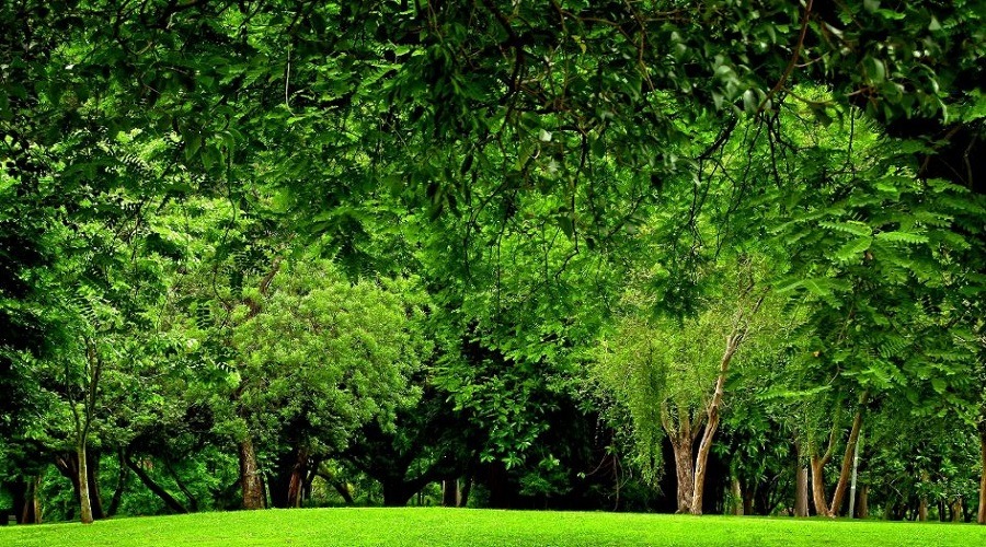 জেনে নিন মানসিক চাপ কমানোর সহজ ও প্রাকৃতিক উপায়