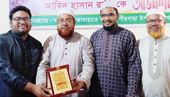 পীরগাছায় বিশ্ববিদ্যালয়ের ৩ বিজয়ী শিক্ষার্থীকে জামায়াতে সংবর্ধনা