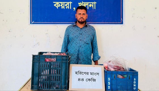 কয়রায় ৪৪ কেজি হরিণের মাংস সহ যুবক গ্রেফতার