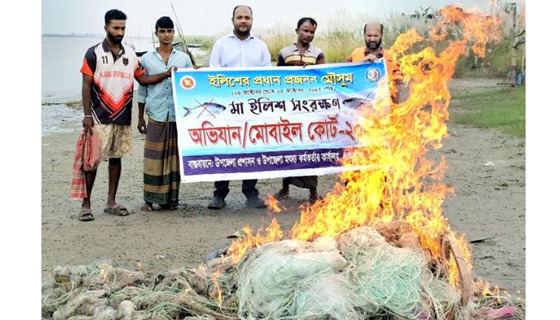 চরভদ্রাসনে ইলিশ রক্ষায় ৭ দিনে ১৪ দফায় অভিযান সম্পন্ন
