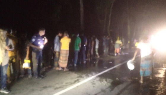 বীরগঞ্জে ট্রাকের ধাক্কায় নিহত ১