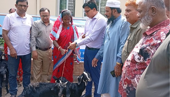 মাধবপুরে ক্ষুদ্র নৃ গোষ্টির মধ্যে ৪ টি ছাগল বিতরণ