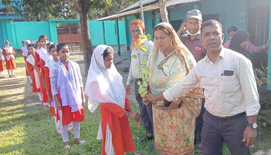 চিরিরবন্দরের শিক্ষার্থীদের গাছের চারা বিতরণ