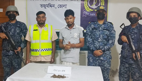 তজুমদ্দিনে গাঁজাসহ বিক্রেতা আটক