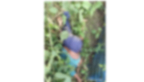 বাবুগঞ্জে সড়কের পাশ থেকে অজ্ঞাত ব্যক্তির  লাশ উদ্ধার