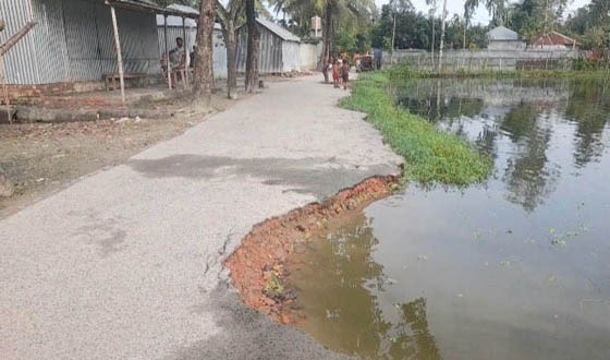 সুজানগরে পুকুর গ্রাস করছে গ্রামীণ সড়ক