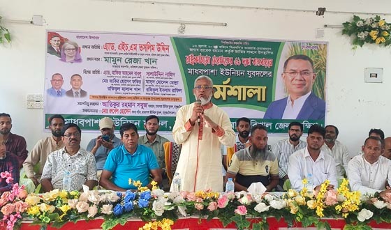 বাবুগঞ্জের মাধবপাশা ইউনিয়ন যুবদলের কর্মশালা