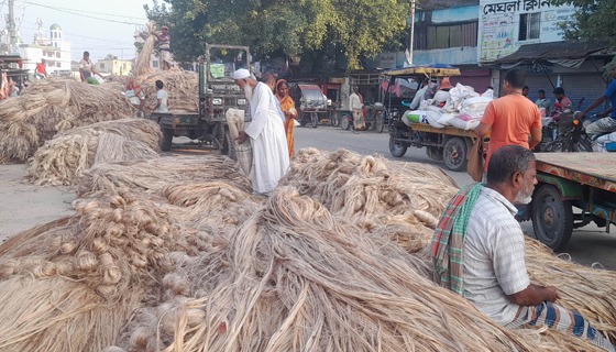 সুজানগর বাজারের প্রধান সড়ক দখল করে পাটের বাজার