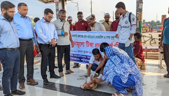 পটুয়াখালীতে শুরু হয়েছে বেওয়ারিশ কুকুর-বিড়ালের টিকা