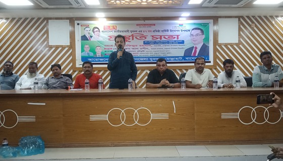 মোল্লাহাটে যুবদলের ৪৭ তম প্রতিষ্ঠাবার্ষিকী উপলক্ষে প্রস্তুতি সভা