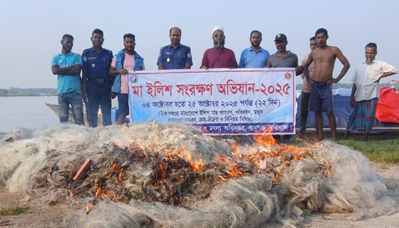বাবুগঞ্জে মা ইলিশ শিকার বন্ধে প্রশাসনের বিশেষ অভিযান, আটক ২