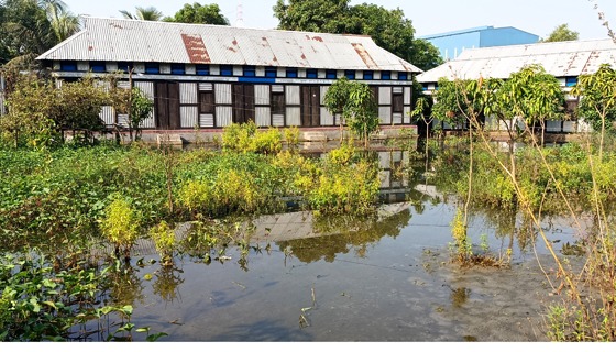 গজারিয়ায় দেড় মাস ধরে পানিবন্দি শতাধিক পরিবার