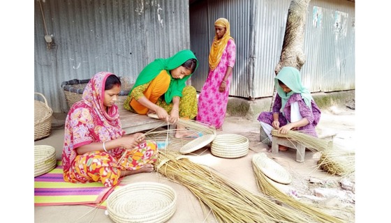 শেরপুরে নারীদের তৈরী ছনের ডালা আনছে বৈদেশিক মূদ্রা