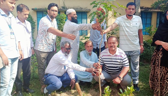 দিঘলিয়ার সেনহাটি মাধ্যমিক বালিকা বিদ্যালয়ে বৃক্ষরোপণ কর্মসূচি অনুষ্ঠিত
