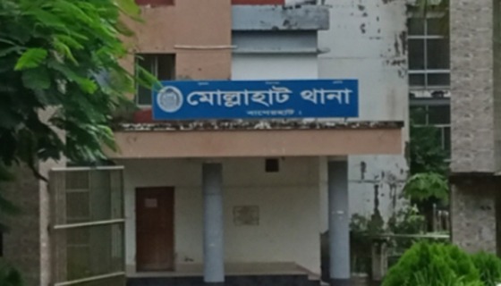 মোল্লাহাটে গাঁজাসহ মাদক কারবারি আটক