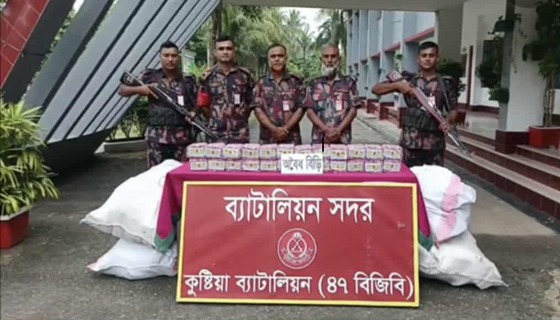 দৌলতপুরে ৫.৫ কে জিভারতীয় রৌপ্য ও ৪২০০ প্যাকেট নকল বিড়ি আটক