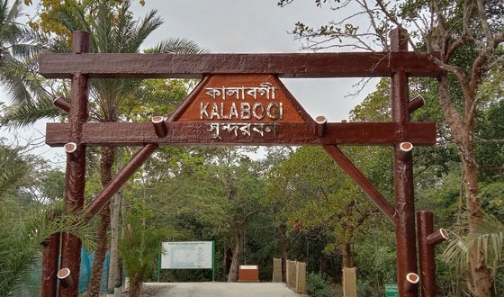 সুন্দরবন পর্যটকদের বরন করতে প্রস্তুুত