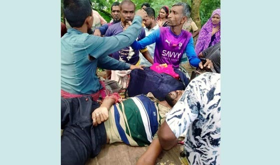 ফরিদপুরে ট্রাকের সাথে মোটরসাইকেল সংঘর্ষ , মা-মেয়ে নিহত