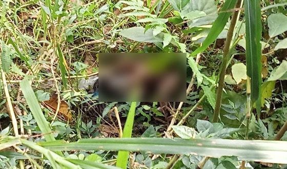 কিশোরগঞ্জে ঝুপড়ি থেকে নবজাতকের মরদেহ উদ্ধার