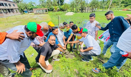 কাউখালীতে সড়কের দুই পাশে বিএনপির বৃক্ষরোপণ