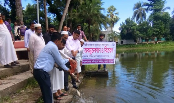 কচুয়ায় বিভিন্ন প্রাতিষ্ঠানিক জলাশয় রুই জাতীয় মাছের পোনা অবমুক্ত ও বিতরণ