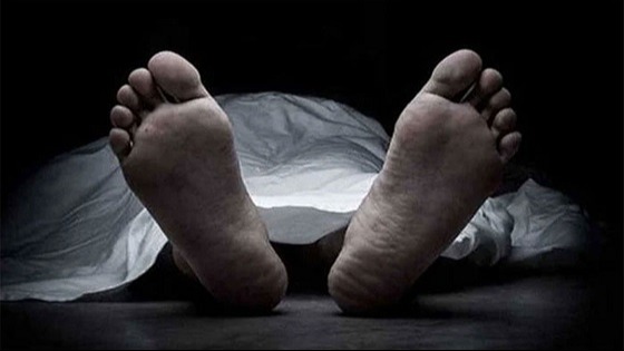 চিরিরবন্দরে সাপের কামড়ে যুবকের মৃত্যু