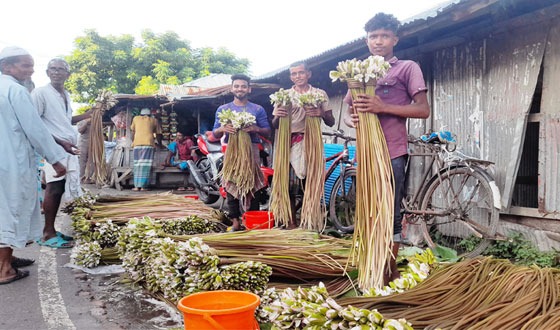 শাপলা বিক্রি অর্থে দুই মেয়ের পড়ার খরজ চালান সুশেন মন্ডল