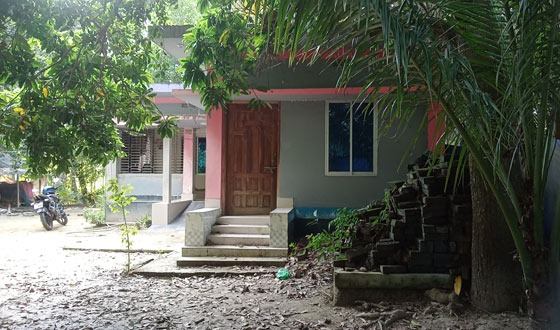 মোল্লাহাটে মুক্তিযোদ্ধার বাড়িতে দুর্র্ধষ চুরি