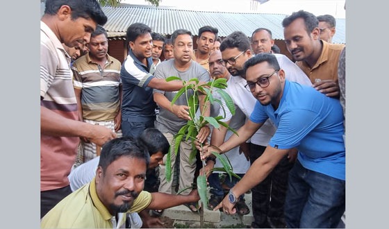 সাপাহারে বিএনপির প্রতিষ্ঠাবার্ষিকী উপলক্ষে বৃক্ষরোপন কর্মসূচি