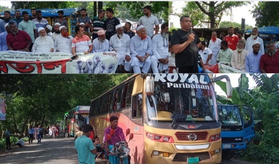 বাগেরহাটে চার আসন পুনর্বহালের দাবিতে মোল্লাহাটে সর্বাত্মক হরতাল