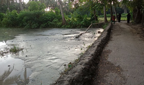 মোল্লাহাটে আঠারোবাকি নদী থেকে আত্মঘাতী মেশিনে বালি উত্তোলন