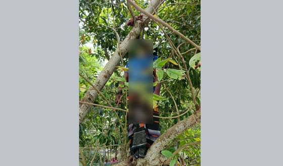 গলাচিপায় স্ত্রীকে ছুরিকাঘাত, পরদিন স্বামীর ঝুলন্ত মরদেহ উদ্ধার