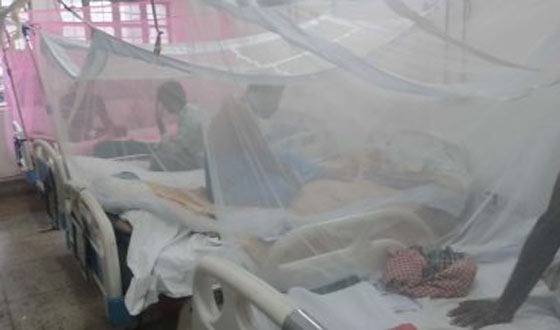 চট্টগ্রামে ডেঙ্গু ও চিকুনগুনিয়ায় আরও ৭২ জন আক্রান্ত