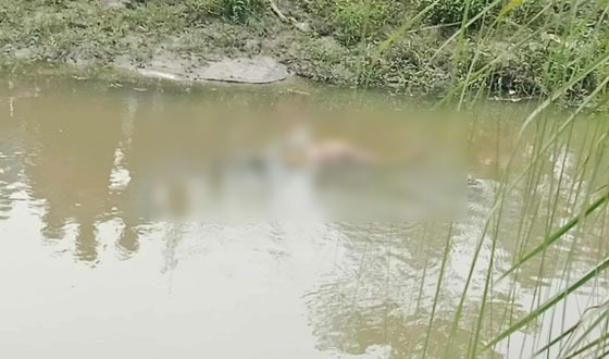 নীলফামারীর নদীতে ভেসে উঠলো গৃহবধুর মরদেহ