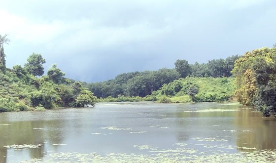 অনিন্দ্যসুন্দর বিলাশছড়া চা-বাগান লেক