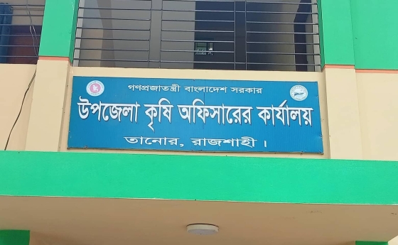 তানোরে নকল ও ভেজাল কীটনাশকে সয়লাব বাজার , ঠকছে কৃষক