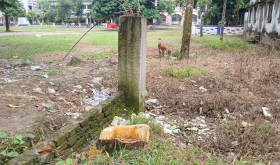 কিশোরগঞ্জে স্কুলের গাছ কাটার ঘটনায় চুরির মামলা