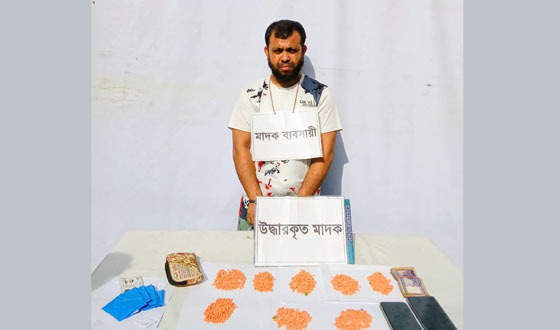 চাঁদপুর হাজীগঞ্জ ও শাহরাস্তিতে ২ মাদক কারবারি আটক