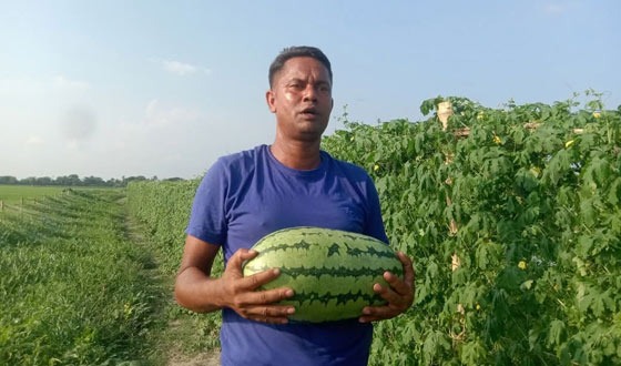 অফ সিজনে তরমুজ ও সামমাম চাষে কোটিপতির স্বপ্ন
