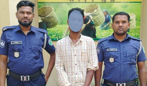 শ্রীমঙ্গলে সাজাপ্রাপ্ত আসামী গ্রেফতার