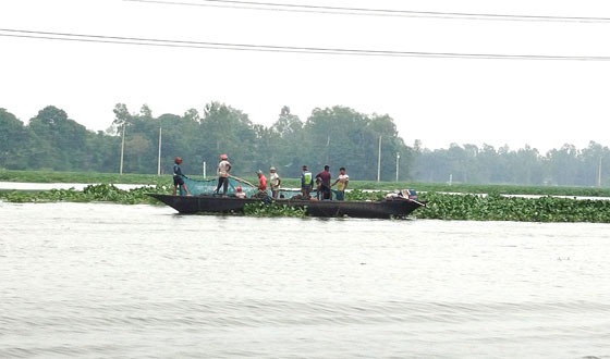 চাটমোহরে নিষিদ্ধ চায়নাদুয়ারি জালে সর্বনাশ হচ্ছে দেশি মাছের