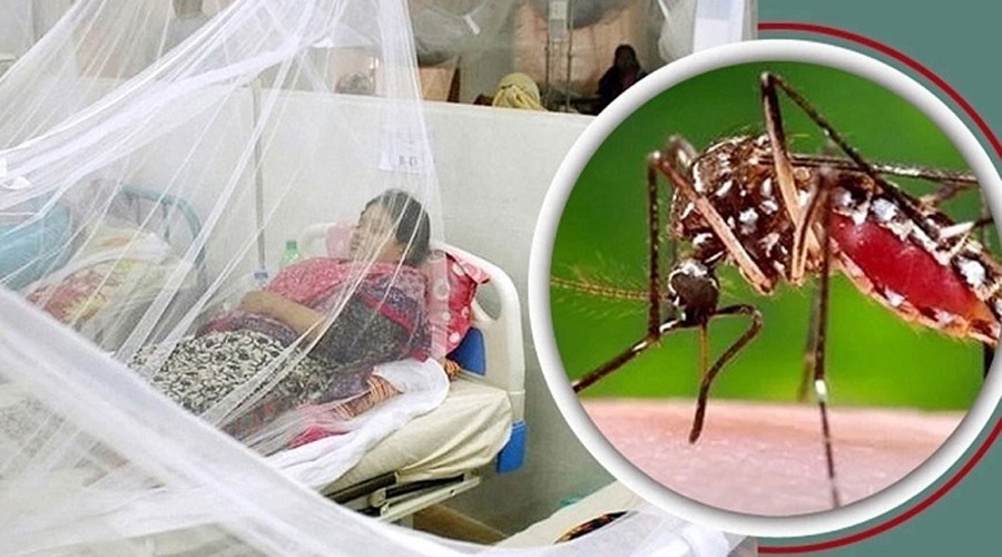 ডেঙ্গুতে একদিনে সর্বোচ্চ ১২ জনের মৃত্যু