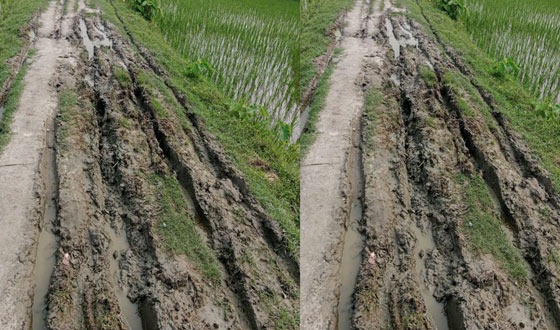 রায়গঞ্জে ১ কিঃ মিঃ রাস্তার বেহাল দশা